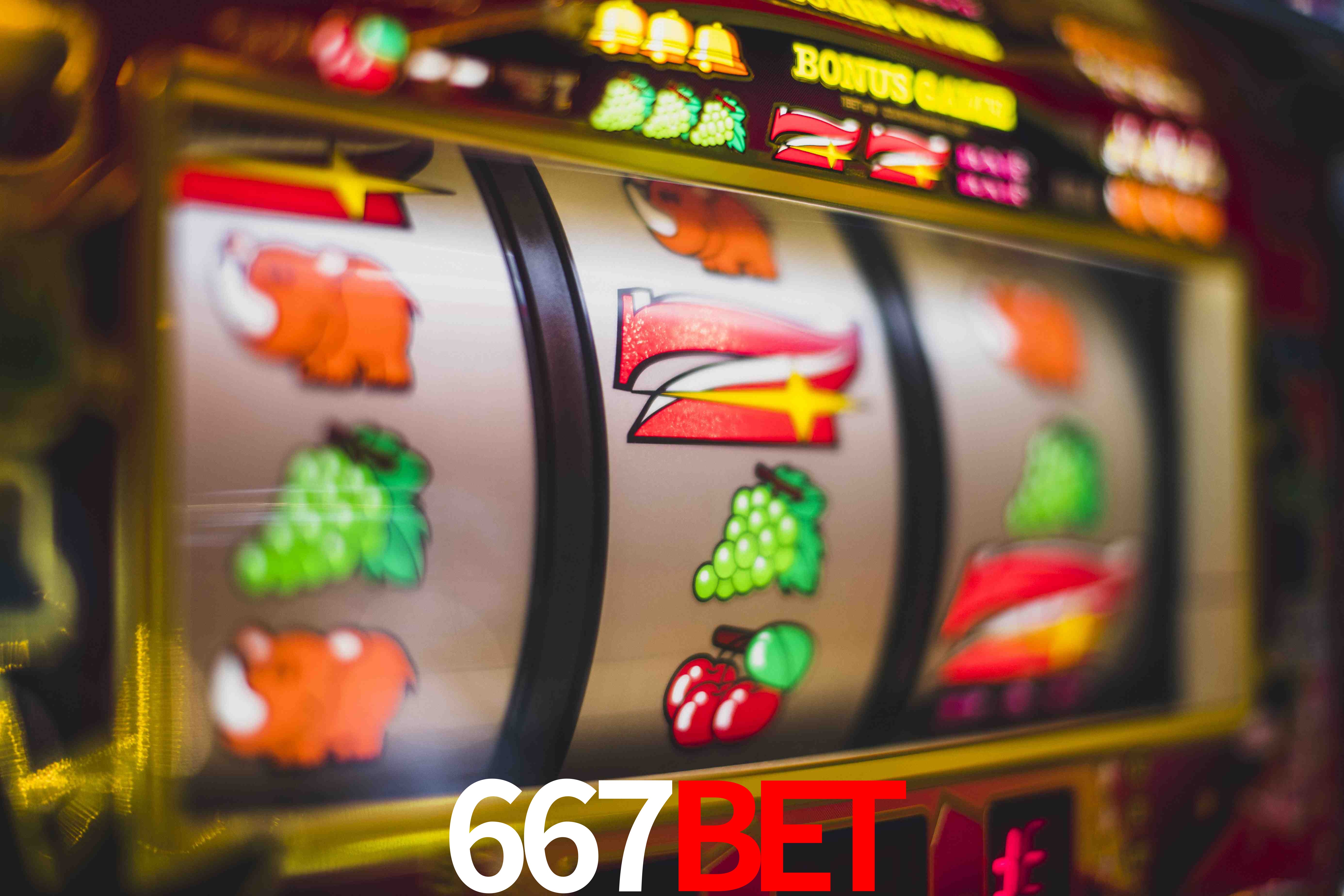 Crash Games Statistics 667BET